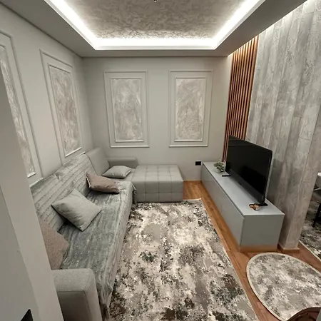 Apartment Luxury Shiba 01 *
